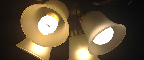 CFL and LED light bulbs